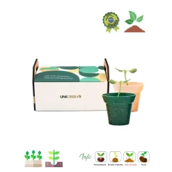 Kit Horta MDF