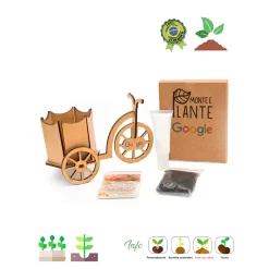 Monte e Plante – Triciclo