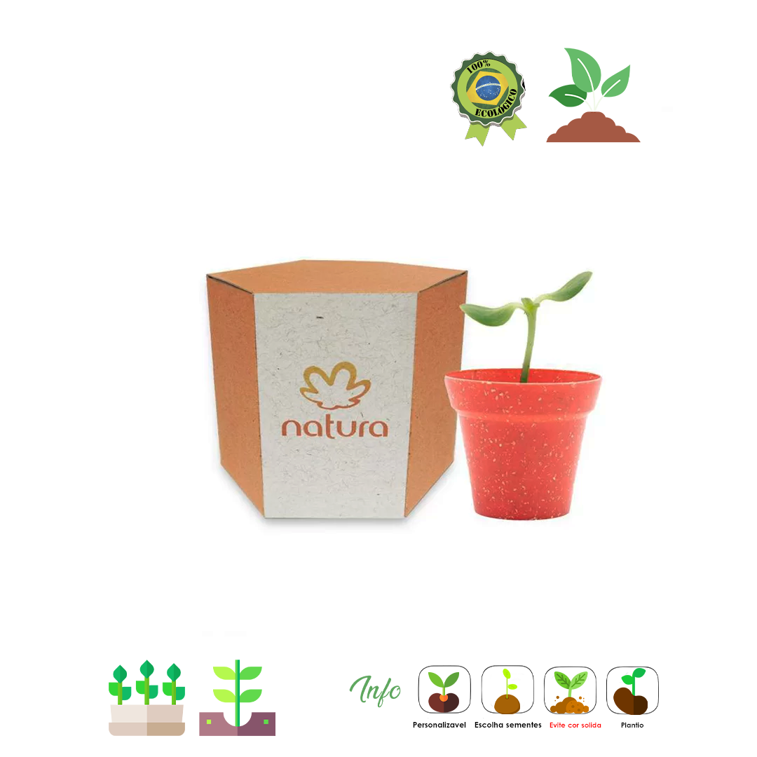Kit Cultivo sextavado