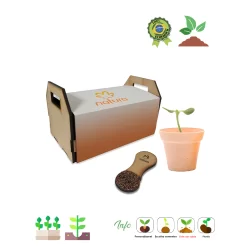 Kit mini horta pazinha