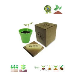 Kit Ecobox Executivo