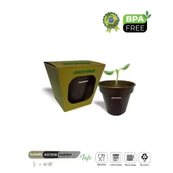 Kit Vaso fibra de coco