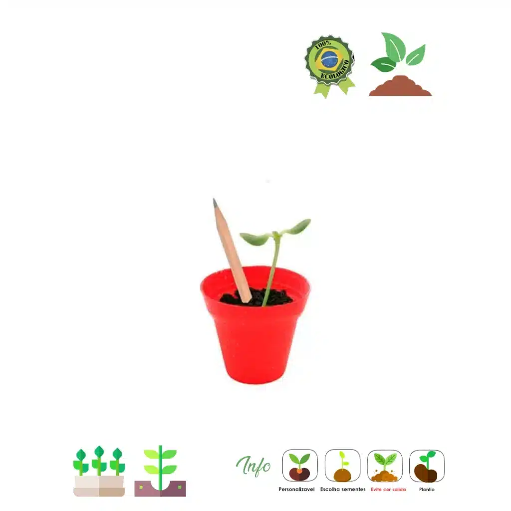 Lápis Semente Cultivo - Imagem 2
