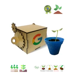 MDF caixa Kit Cultivo