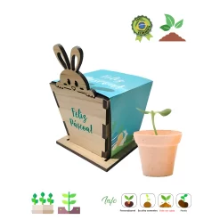 Mini Kit Coelho