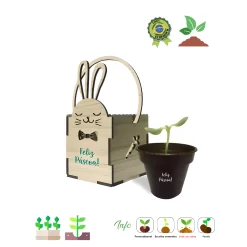 Kit Plantio Coelho