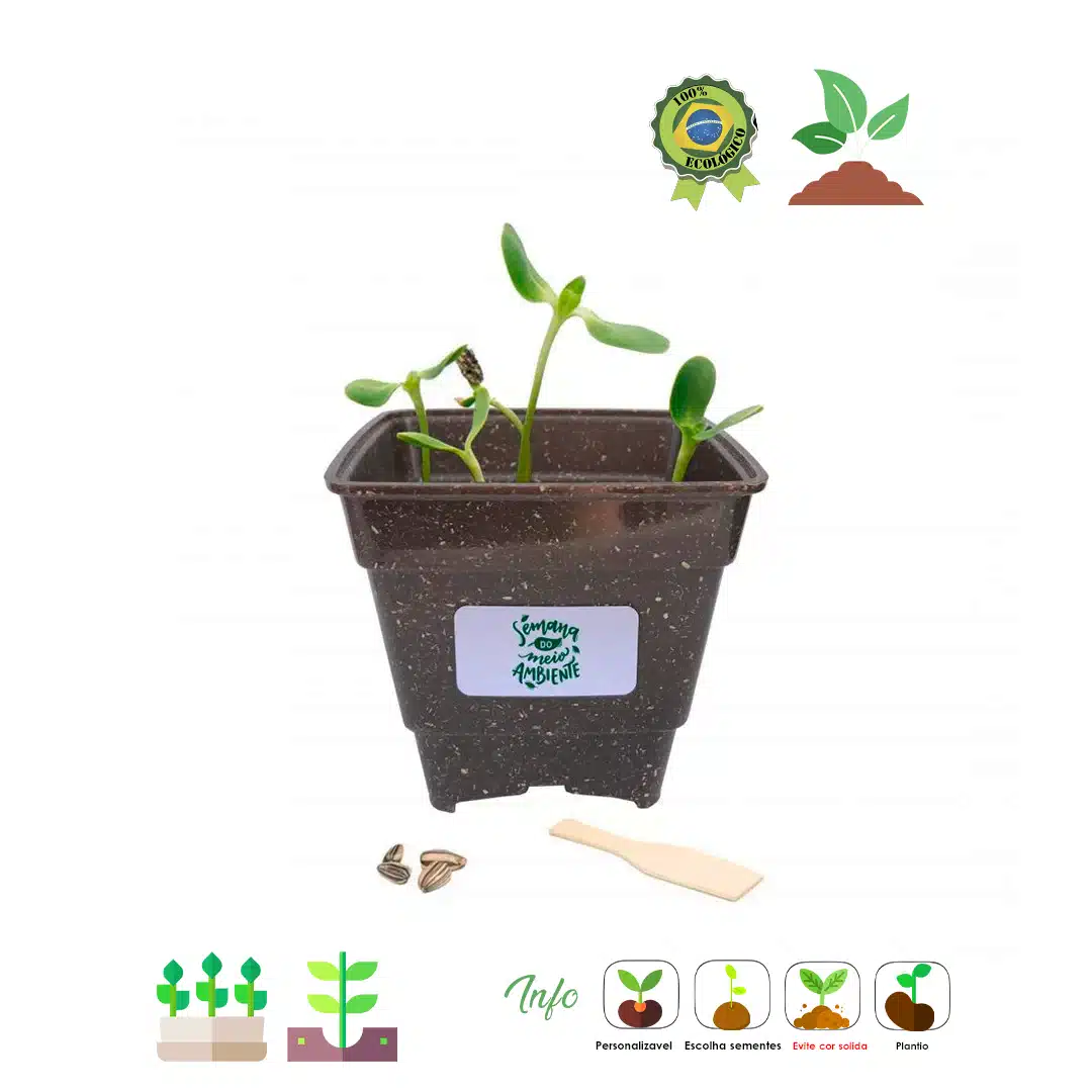 Kit ecológico especial - Imagem 2