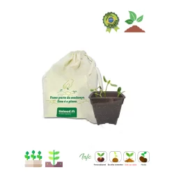 Kit cultivo no saquinho