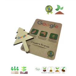 Kits de Cultivo, MDF, Plantio