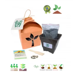 Kit Kraft com Sementes