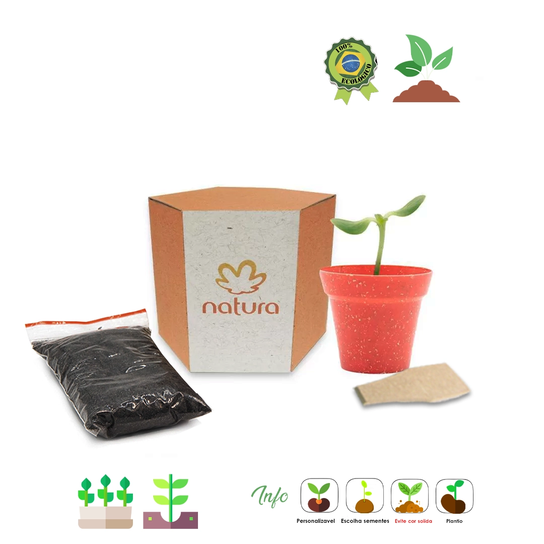 Kit Cultivo sextavado - Imagem 2
