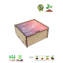Kit Caixa MDF